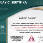 MMPİ Kişilik Envanteri